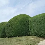 Castello Di Monferrato
