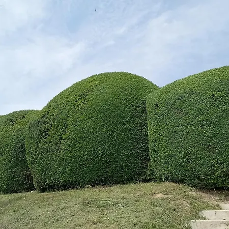 Castello Di Monferrato