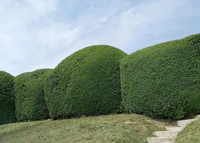 Castello Di Monferrato